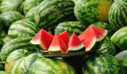 吃瓜网51官网版 吃瓜网每日大赛,每日大赛精彩纷呈，带你领略吃瓜盛宴